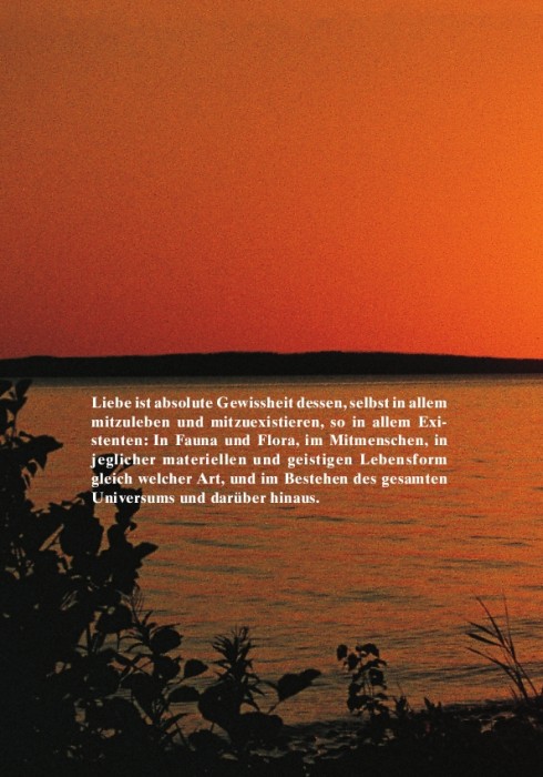 gesetz-der-liebe_back.jpg